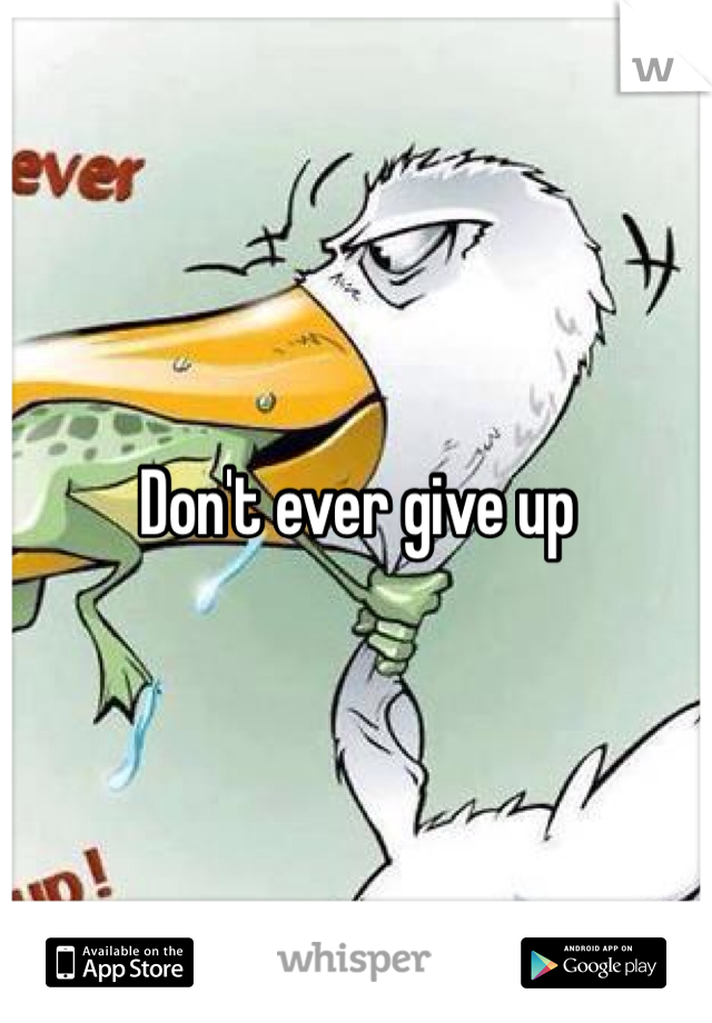 Don't ever give up 