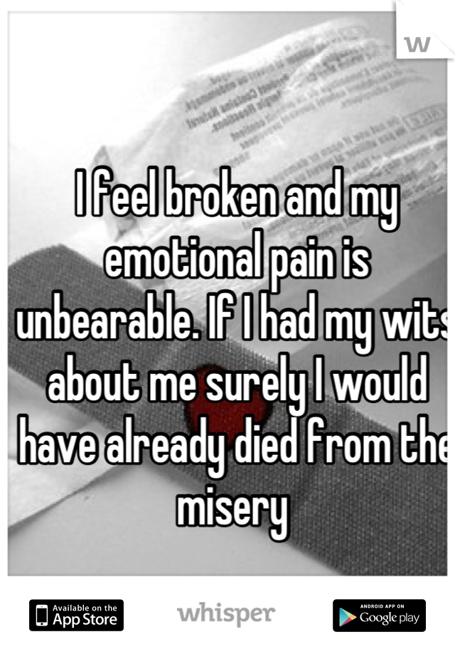 I feel broken and my emotional pain is unbearable. If I had my wits about me surely I would have already died from the misery 