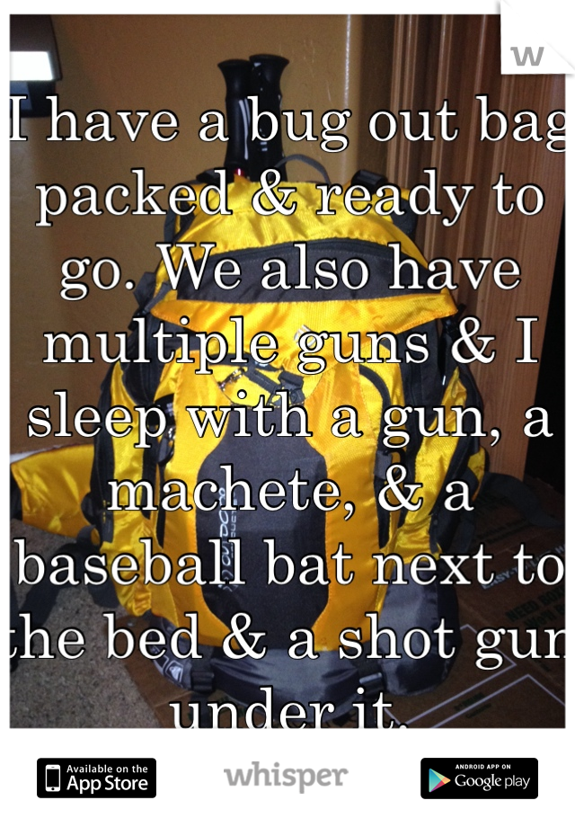 I have a bug out bag packed & ready to go. We also have multiple guns & I sleep with a gun, a machete, & a baseball bat next to the bed & a shot gun under it.