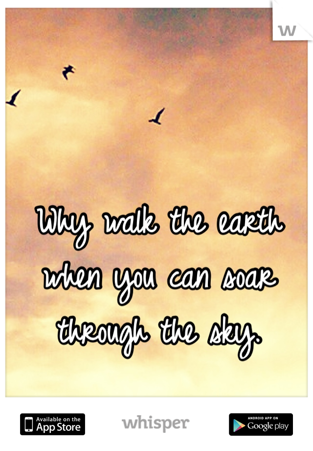 Why walk the earth when you can soar through the sky.