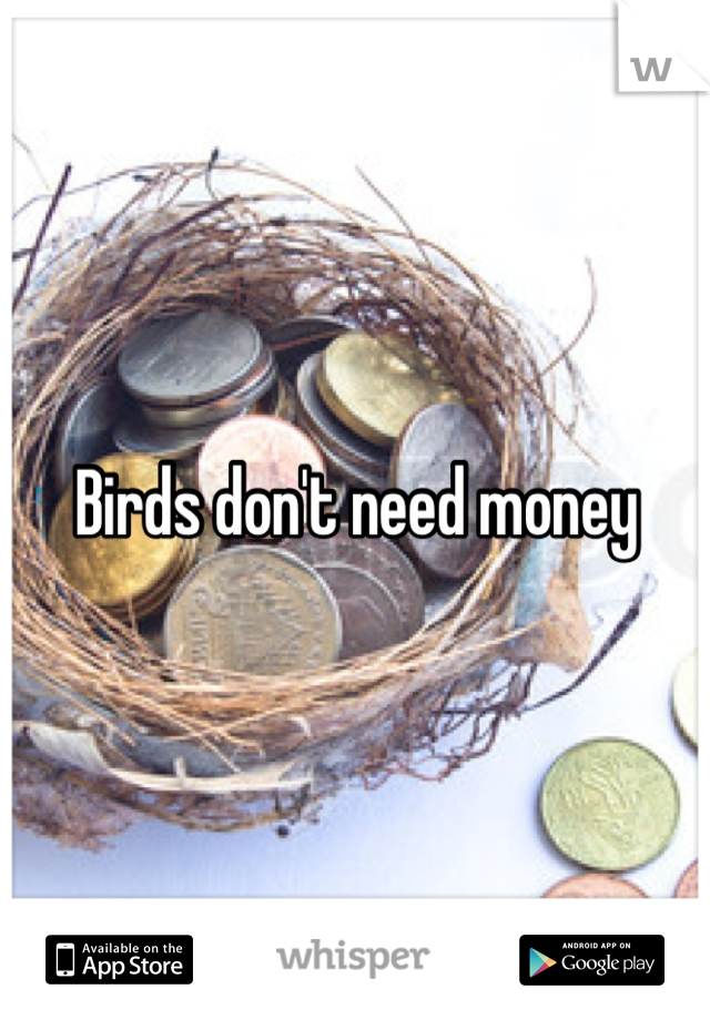 Birds don't need money 