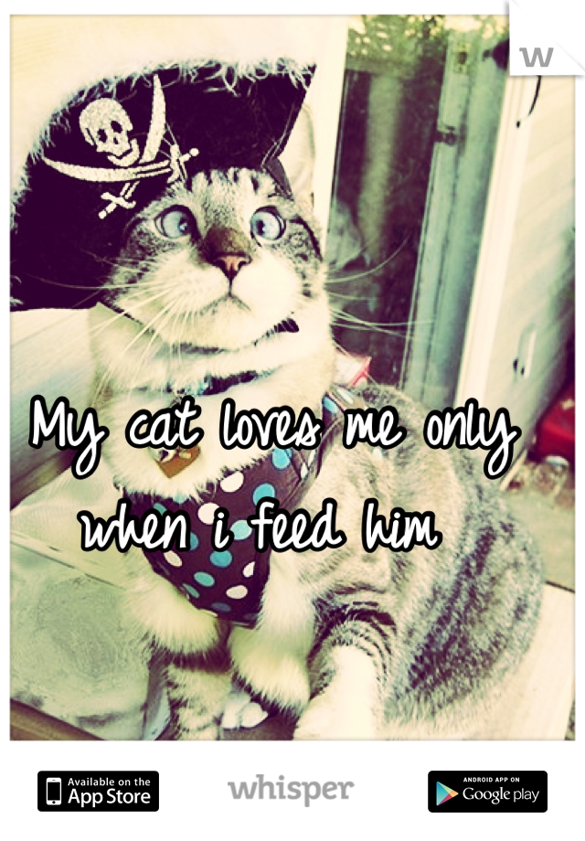 My cat loves me only when i feed him 