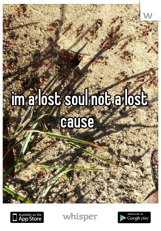 im a lost soul not a lost cause
