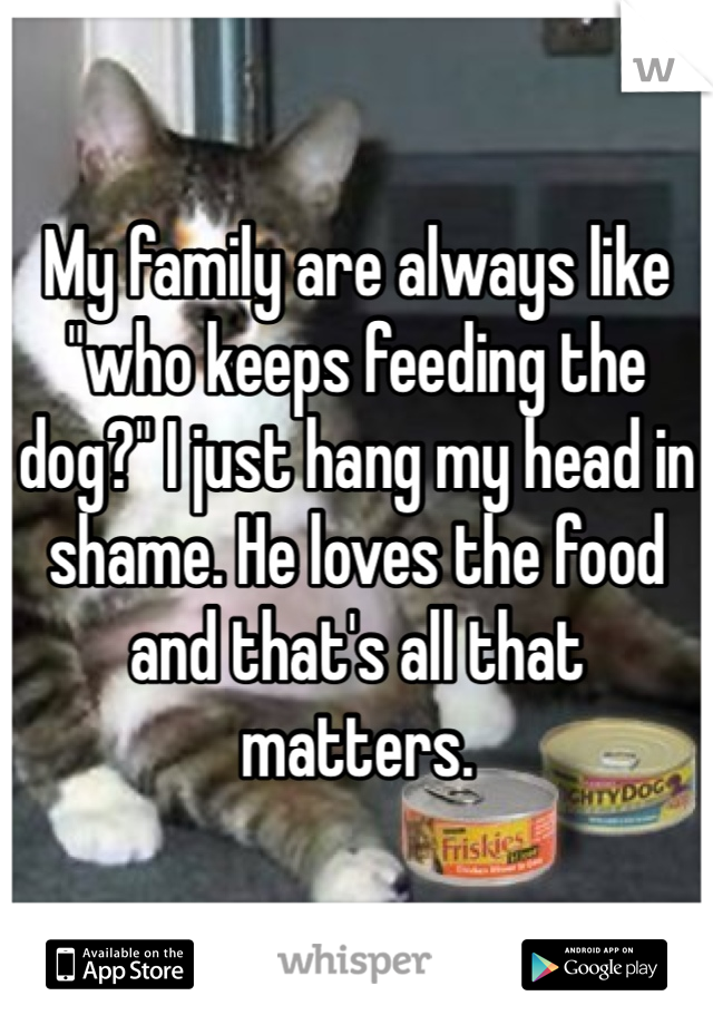 My family are always like "who keeps feeding the dog?" I just hang my head in shame. He loves the food and that's all that matters.