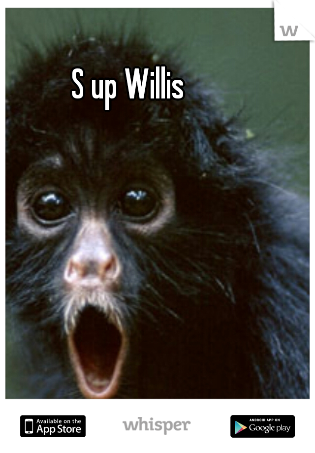 S up Willis