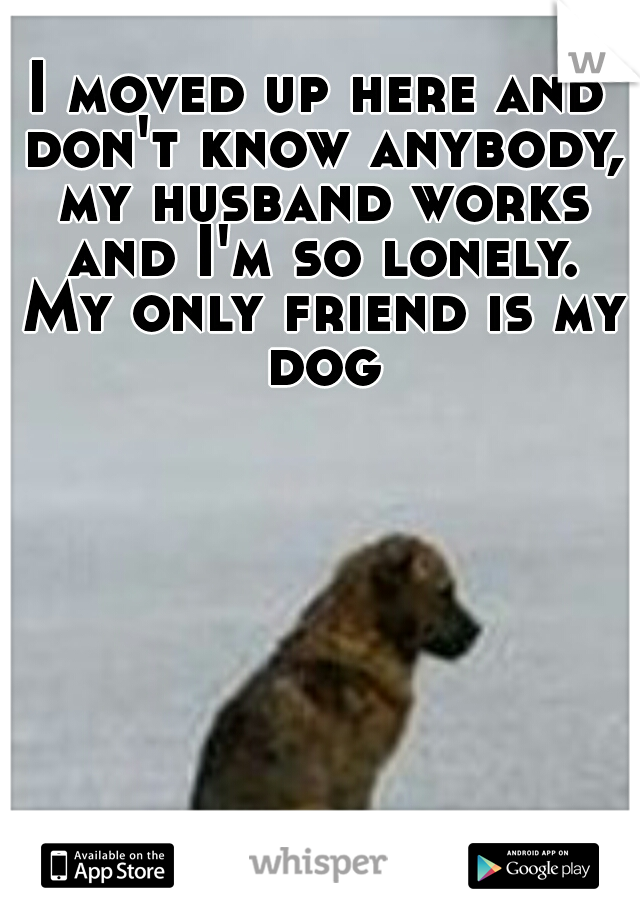 I moved up here and don't know anybody, my husband works and I'm so lonely. My only friend is my dog