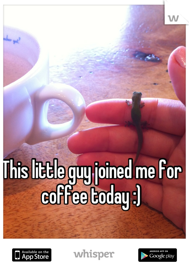 This little guy joined me for coffee today :)