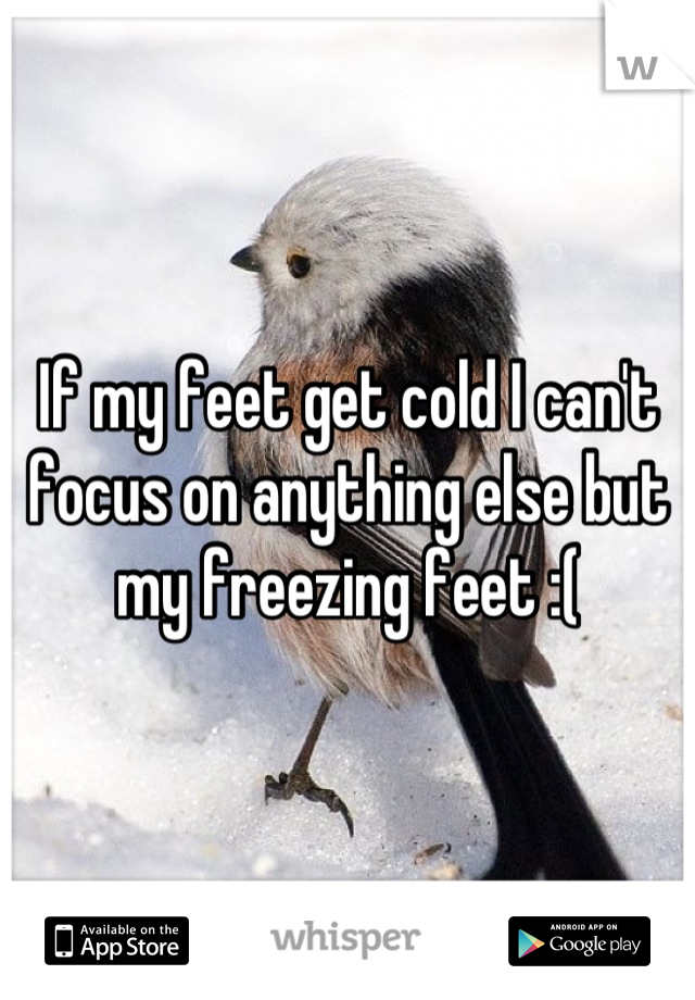 If my feet get cold I can't focus on anything else but my freezing feet :(