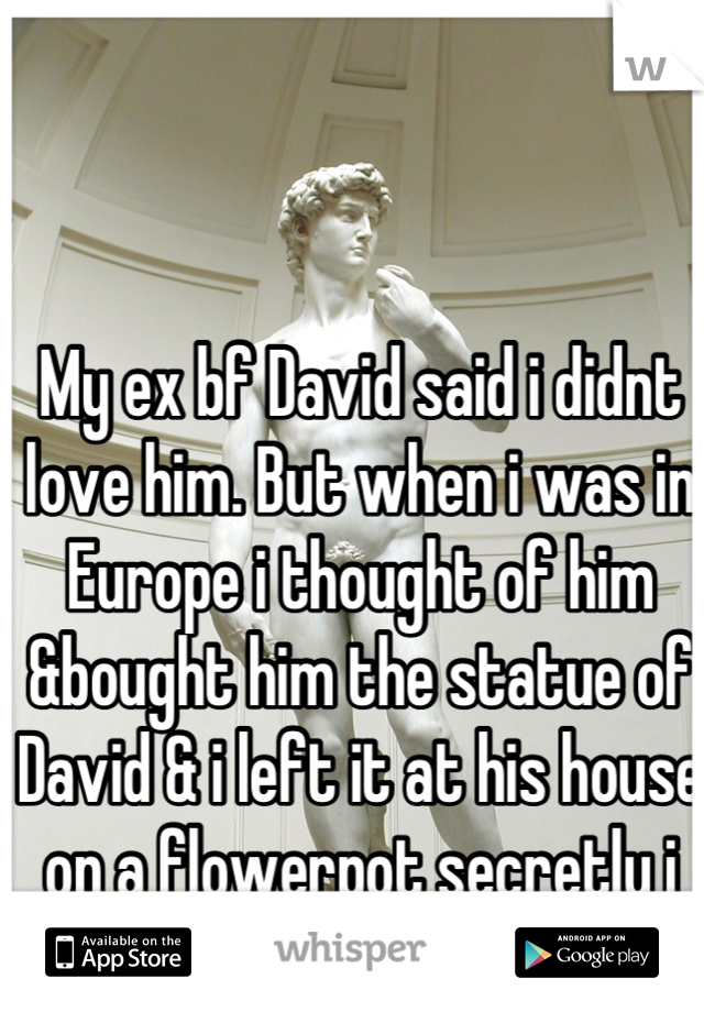 My ex bf David said i didnt love him. But when i was in Europe i thought of him &bought him the statue of David & i left it at his house  on a flowerpot secretly i wonder if he found it ..... 