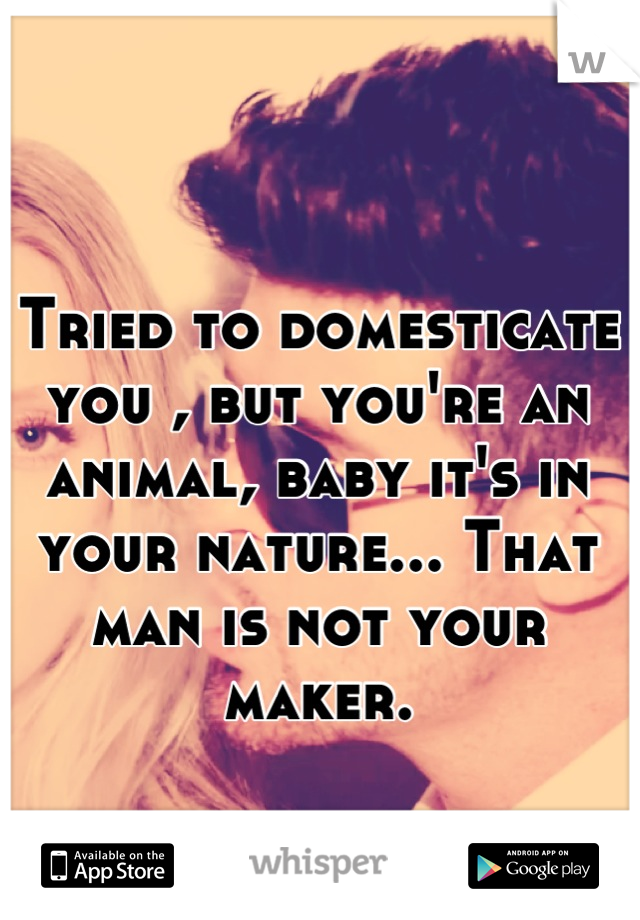 Tried to domesticate you , but you're an animal, baby it's in your nature... That man is not your maker.