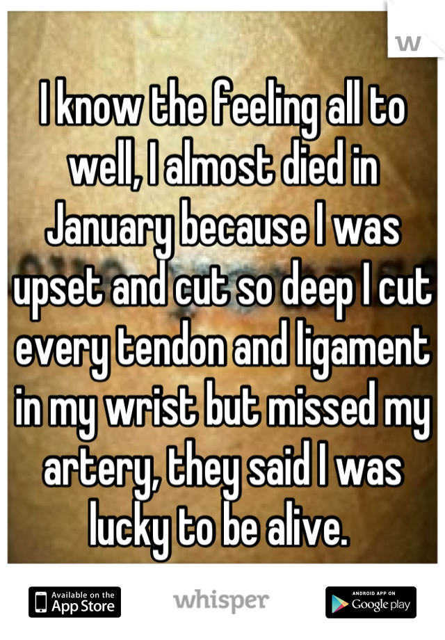 I know the feeling all to well, I almost died in January because I was upset and cut so deep I cut every tendon and ligament in my wrist but missed my artery, they said I was lucky to be alive. 