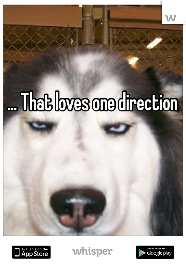 ... That loves one direction