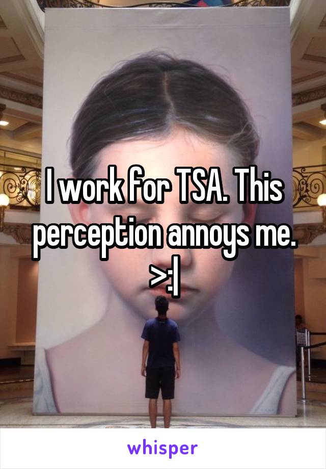 I work for TSA. This perception annoys me. >:|
