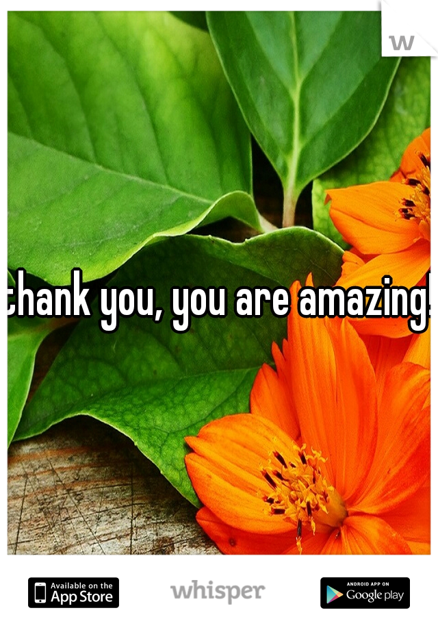 thank you, you are amazing!