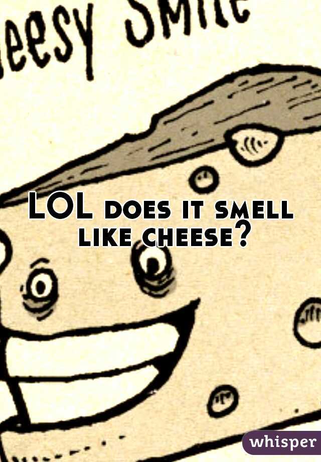 LOL does it smell like cheese?