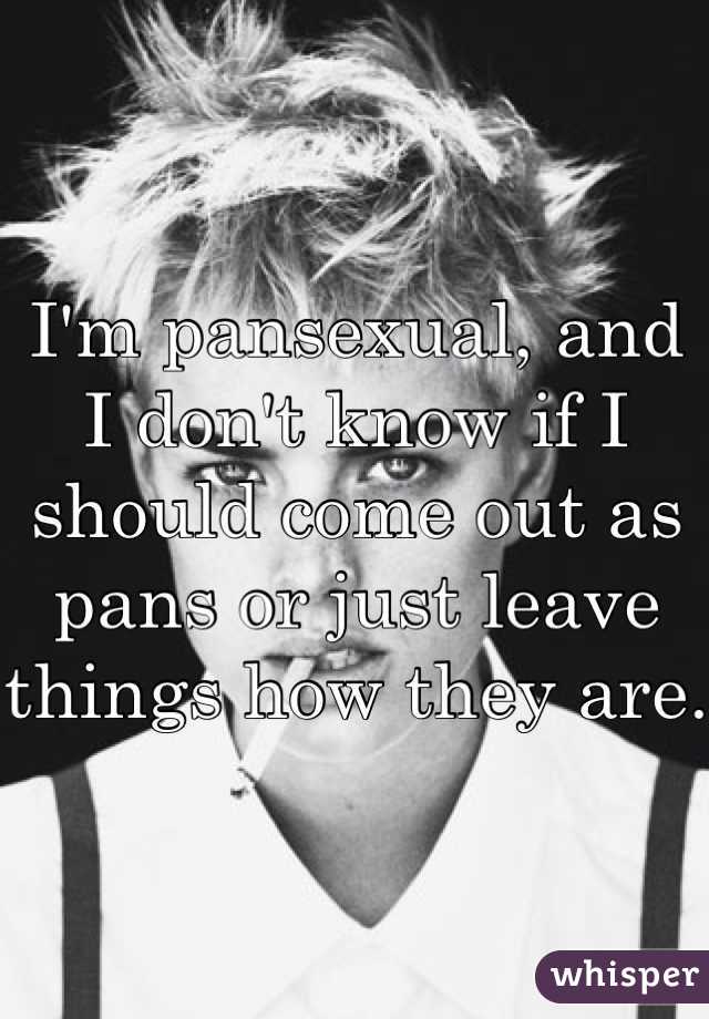 I'm pansexual, and I don't know if I should come out as pans or just leave things how they are.