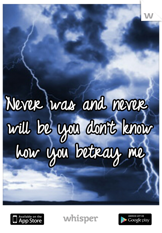 Never was and never will be you don't know how you betray me