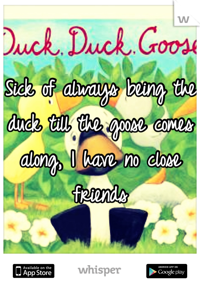 Sick of always being the duck till the goose comes along, I have no close friends