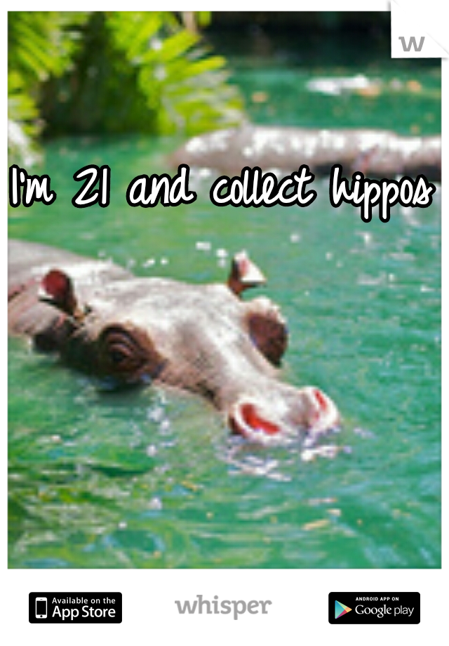 I'm 21 and collect hippos