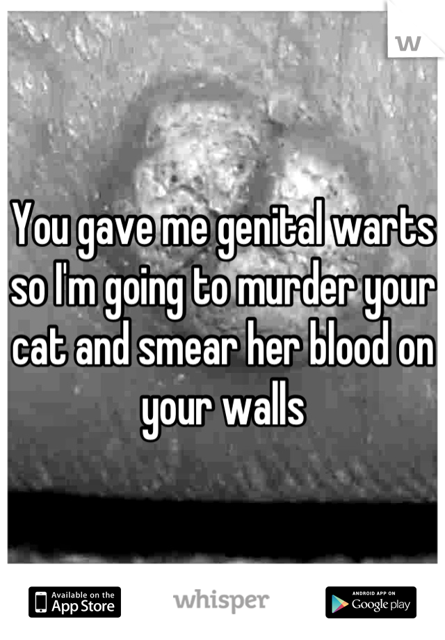 You gave me genital warts so I'm going to murder your cat and smear her blood on your walls
