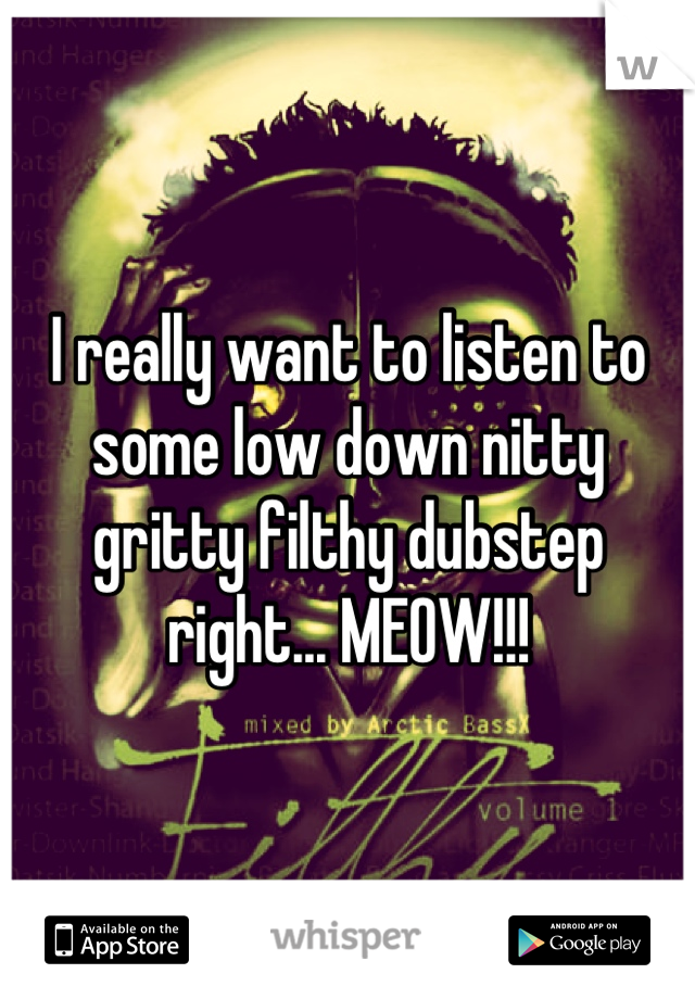 I really want to listen to some low down nitty gritty filthy dubstep right... MEOW!!!