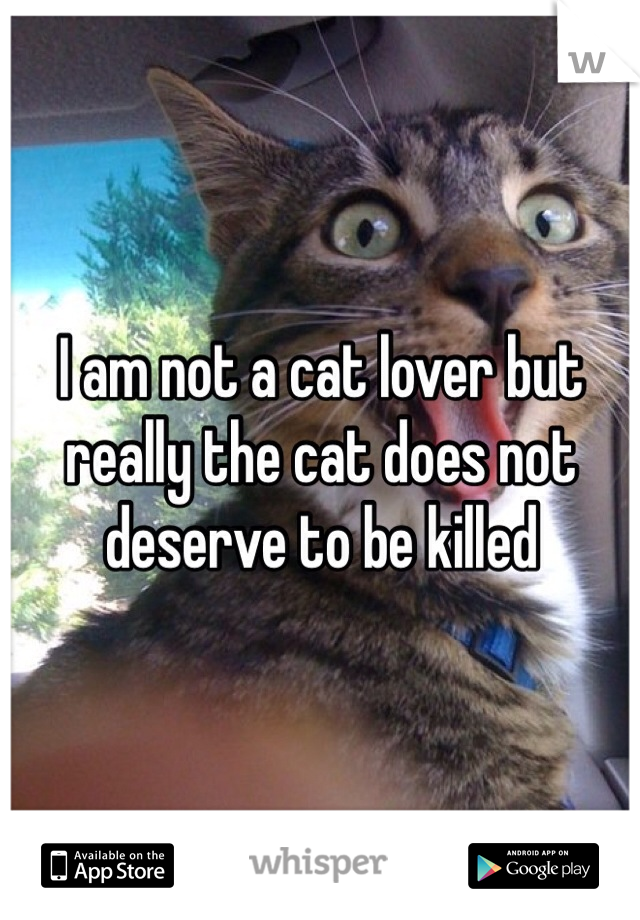 I am not a cat lover but really the cat does not deserve to be killed 