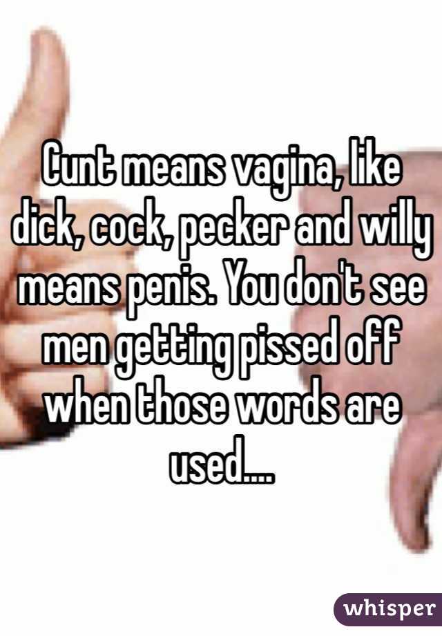 Cunt means vagina, like dick, cock, pecker and willy means penis. You don't see men getting pissed off when those words are used....