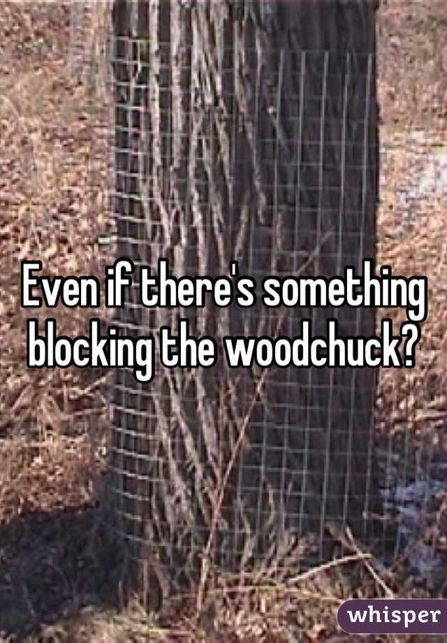 Even if there's something blocking the woodchuck?