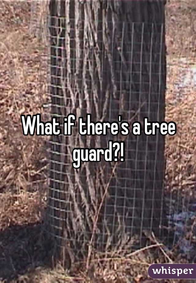 What if there's a tree guard?!