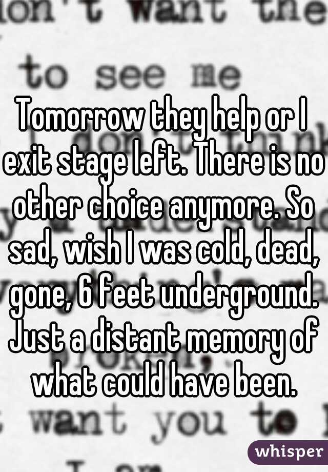 Tomorrow they help or I exit stage left. There is no other choice anymore. So sad, wish I was cold, dead, gone, 6 feet underground. Just a distant memory of what could have been.