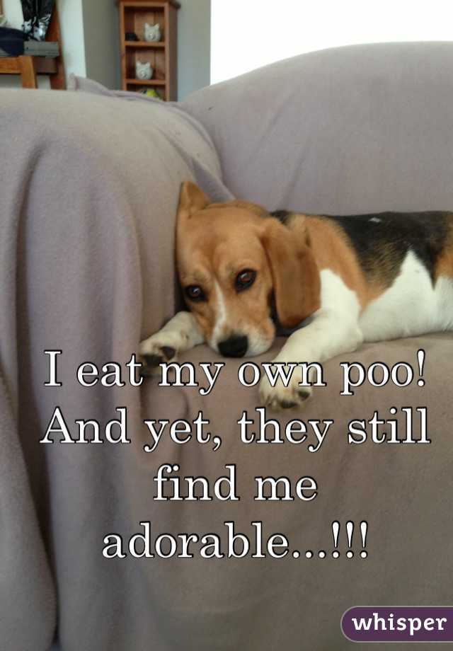 I eat my own poo!  And yet, they still find me adorable...!!!