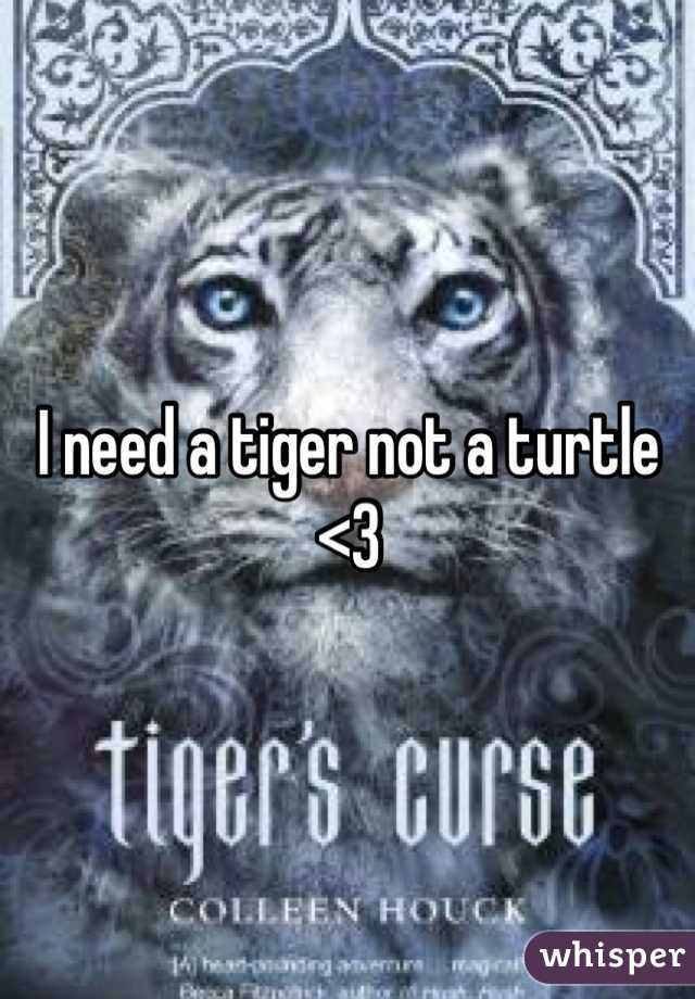 I need a tiger not a turtle <3