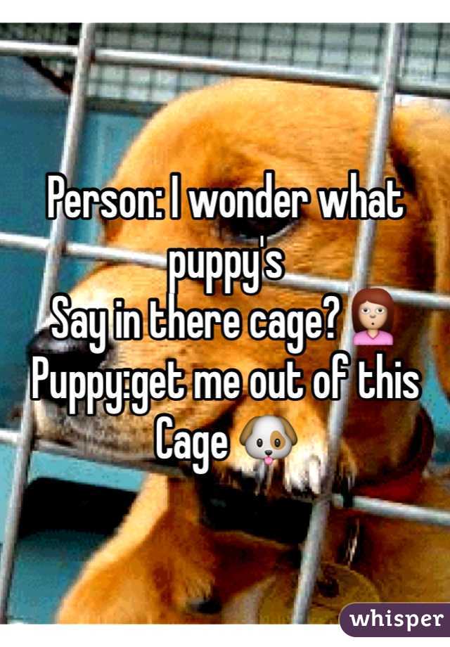 Person: I wonder what puppy's 
Say in there cage?🙎
Puppy:get me out of this
Cage 🐶
