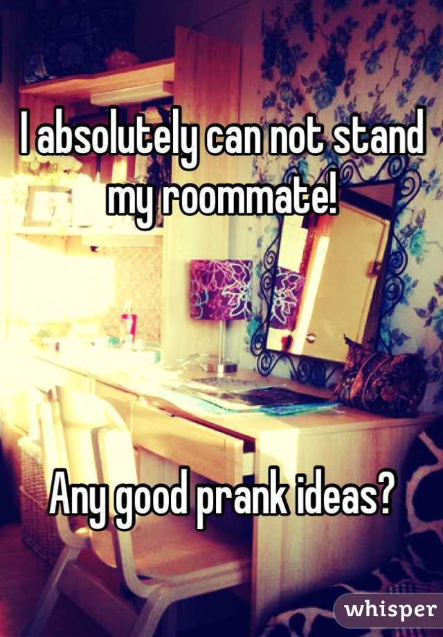 I absolutely can not stand my roommate! 




Any good prank ideas? 