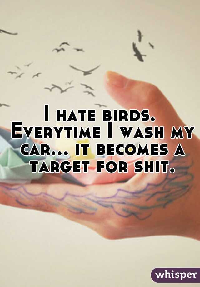 I hate birds. Everytime I wash my car... it becomes a target for shit.