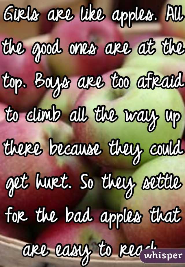Girls are like apples. All the good ones are at the top. Boys are too afraid to climb all the way up there because they could get hurt. So they settle for the bad apples that are easy to reach.