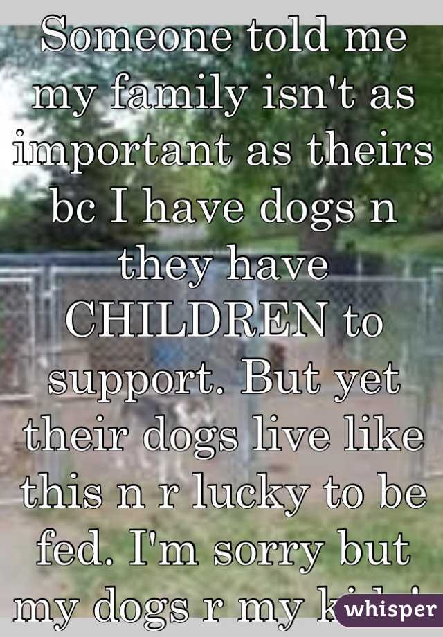 Someone told me my family isn't as important as theirs bc I have dogs n they have CHILDREN to support. But yet their dogs live like this n r lucky to be fed. I'm sorry but my dogs r my kids! 