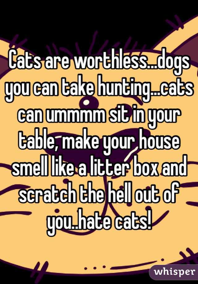 Cats are worthless...dogs you can take hunting...cats can ummmm sit in your table, make your house smell like a litter box and scratch the hell out of you..hate cats!