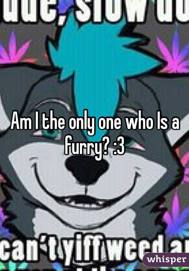 Am I the only one who Is a furry? :3