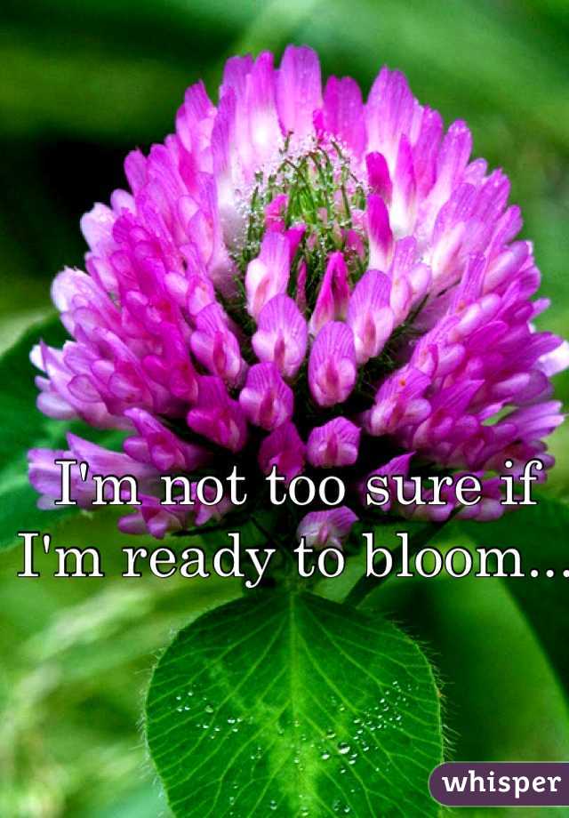 I'm not too sure if I'm ready to bloom...