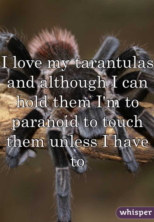 I love my tarantulas and although I can hold them I'm to paranoid to touch them unless I have to
