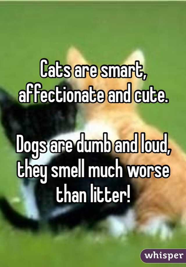 Cats are smart, affectionate and cute.

Dogs are dumb and loud, they smell much worse than litter! 