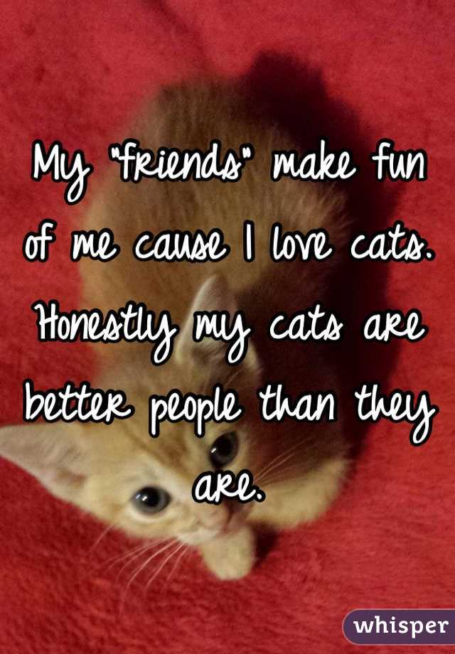 My "friends" make fun of me cause I love cats. Honestly my cats are better people than they are. 