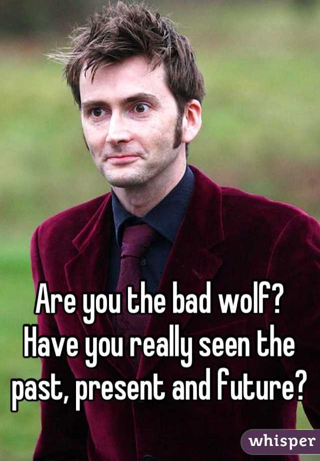 Are you the bad wolf? Have you really seen the past, present and future?