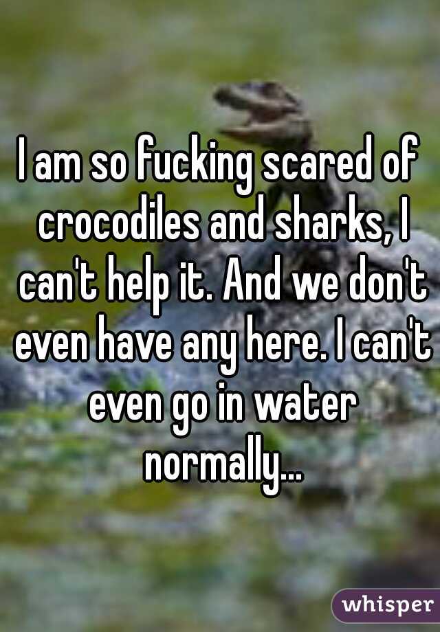 I am so fucking scared of crocodiles and sharks, I can't help it. And we don't even have any here. I can't even go in water normally...