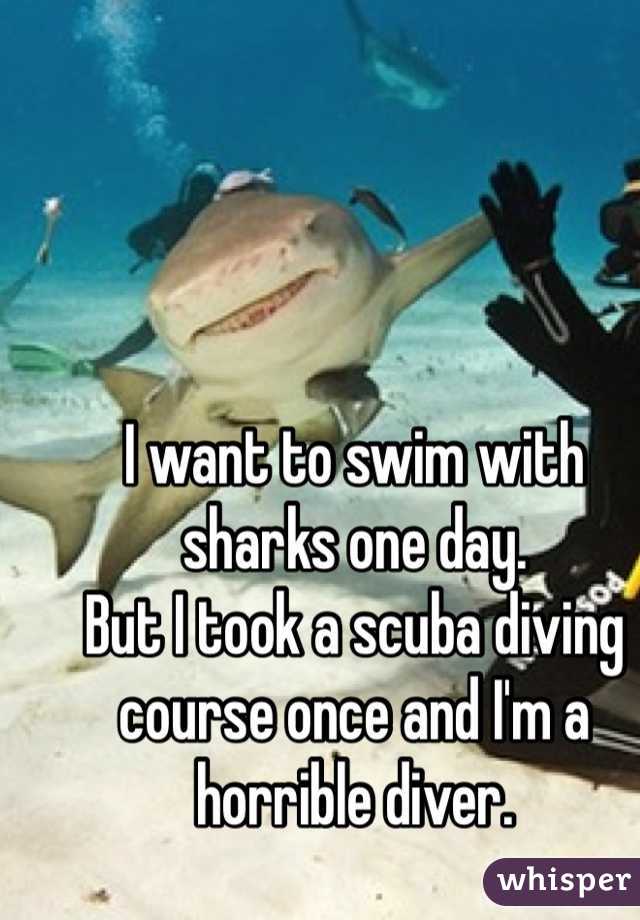 I want to swim with sharks one day.
But I took a scuba diving course once and I'm a horrible diver.
