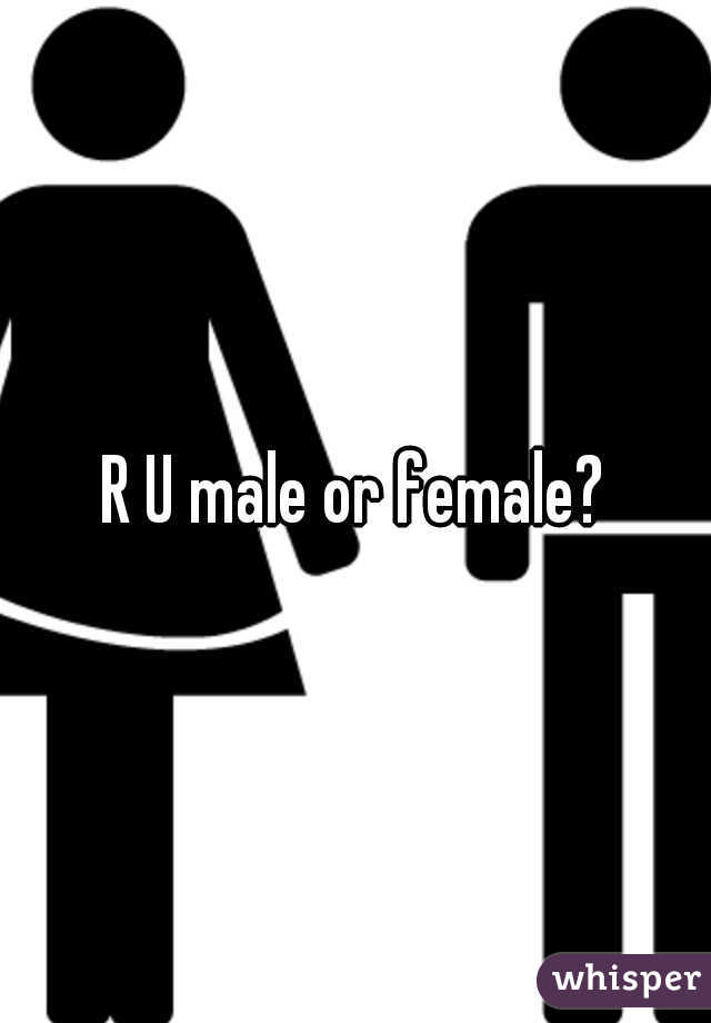 R U male or female?