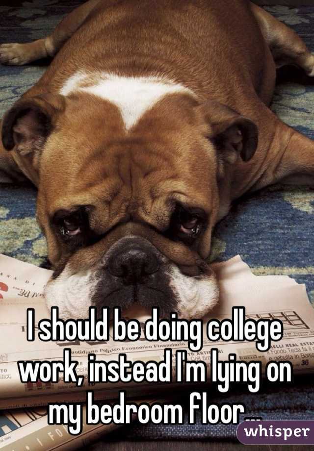 I should be doing college work, instead I'm lying on my bedroom floor...