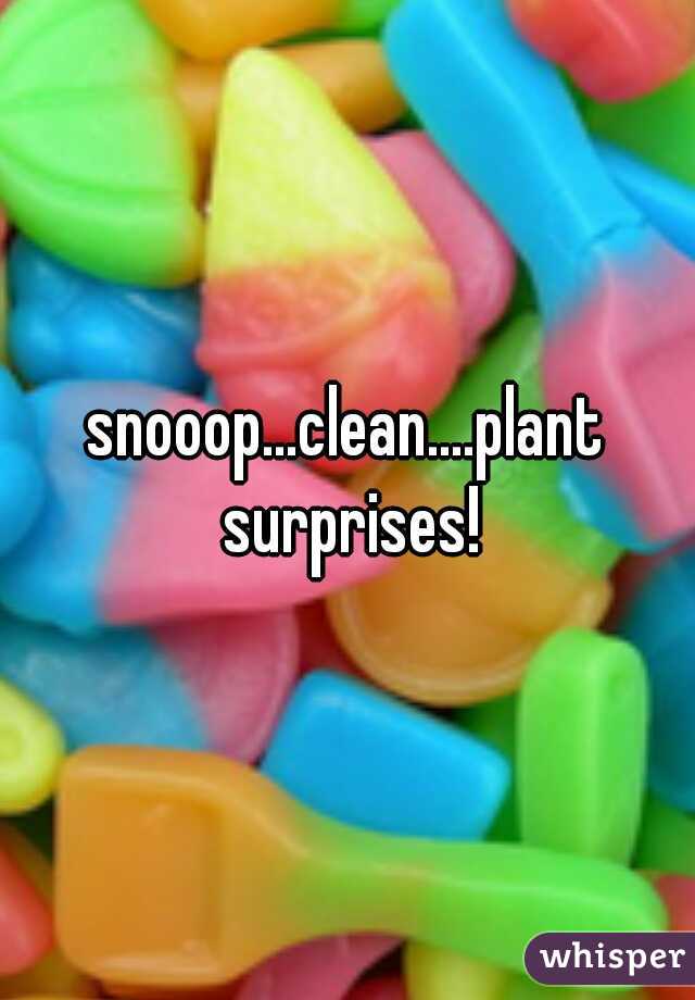 snooop...clean....plant surprises!