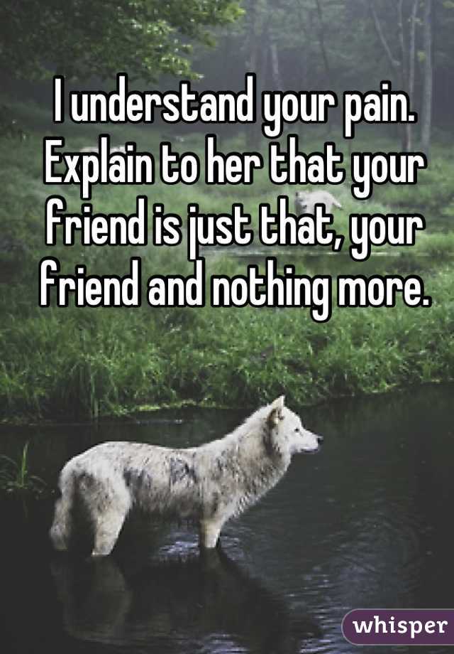 I understand your pain.
Explain to her that your friend is just that, your friend and nothing more.